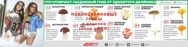 молекула духа Кукмор