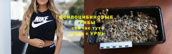 твердый Ладушкин