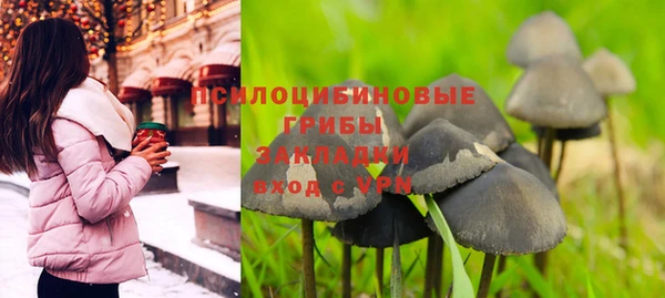 spice Приозерск